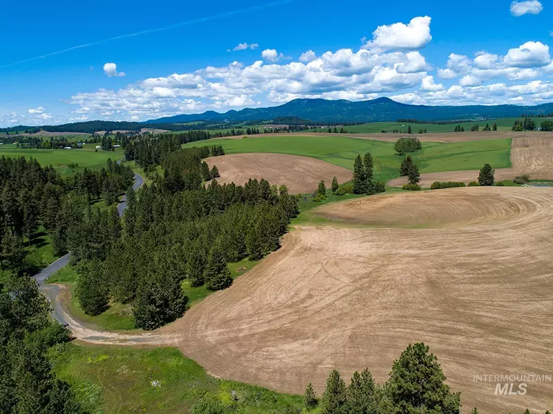1240 Driscoll Ridge Road, Troy, ID 83871