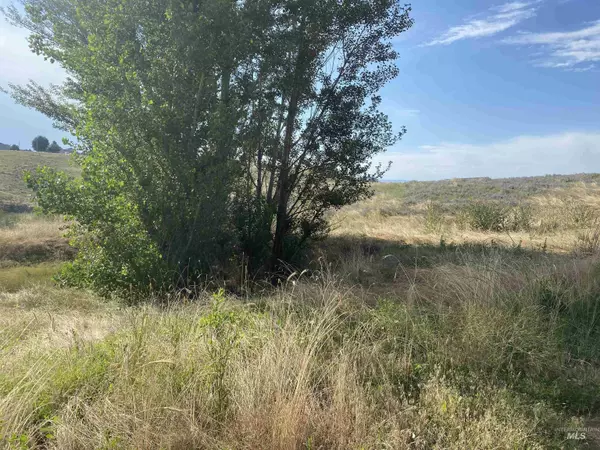 TBD 18th St (1-132-00-293), Clarkston, WA 99403