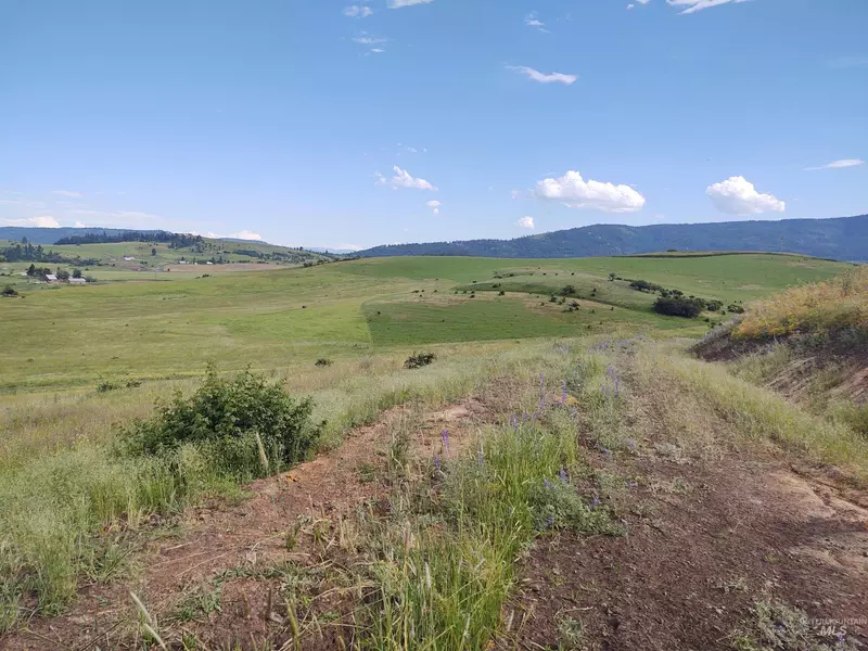 Lot 6 and 19 Zwingli Road, Grangeville, ID 83530