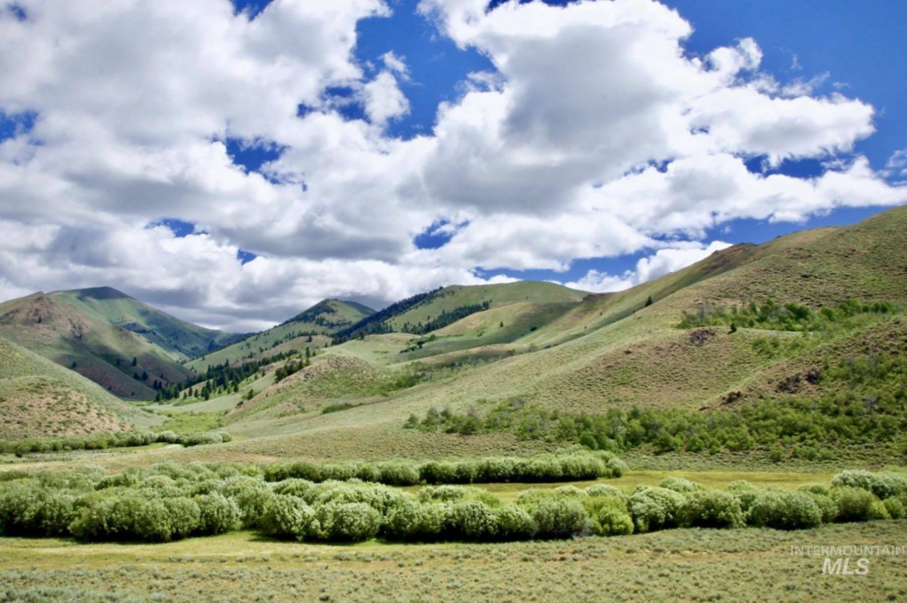 Carey, ID 83320,Lava Lake Road