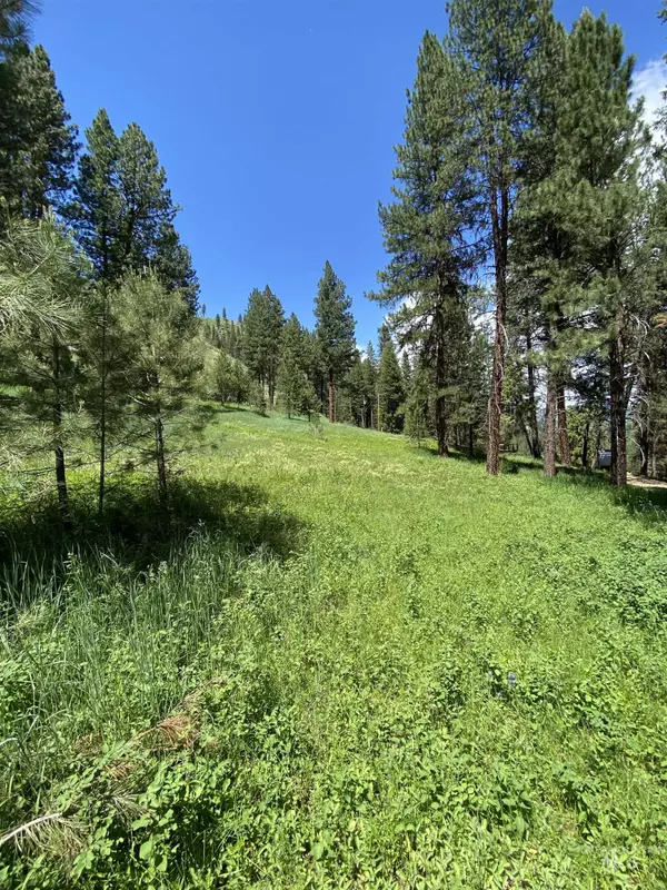 Lowman, ID 83637,Lot 12 Plateau