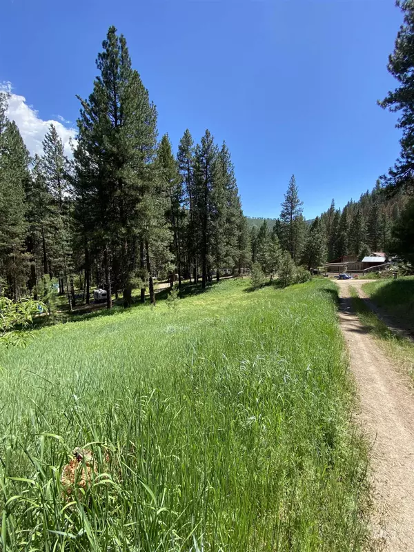 Lowman, ID 83637,Lot 12 Plateau