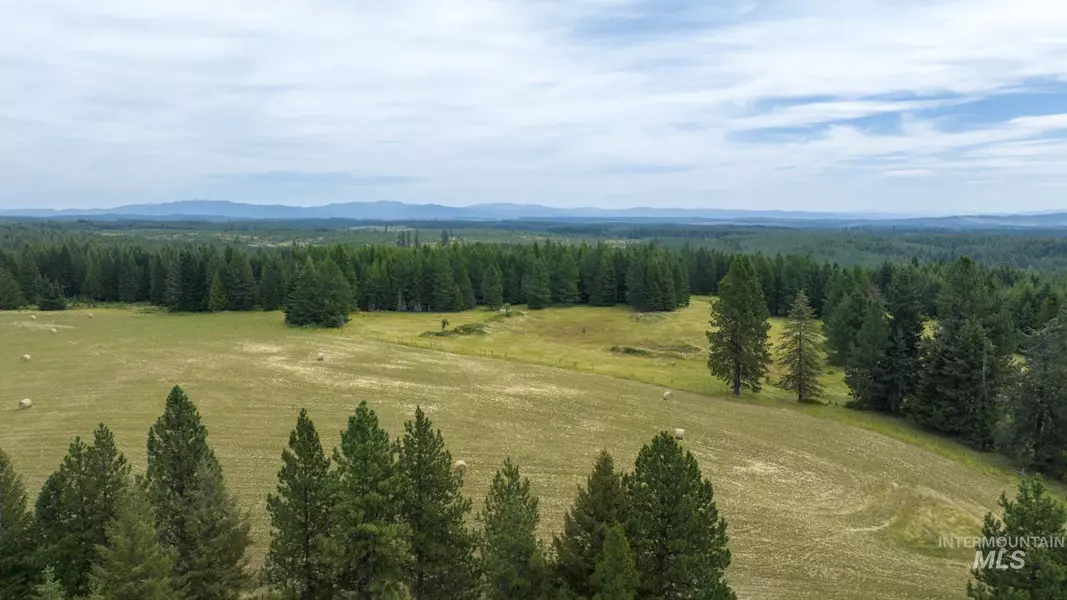 1605 Jasmine Ln, Parcel 9, Weippe, ID 83553