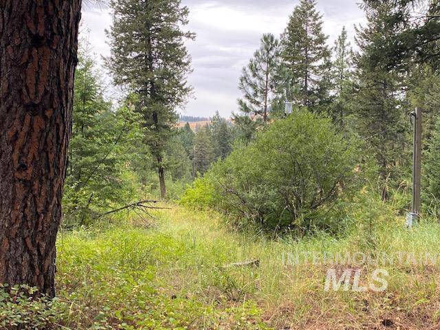 tbd Peaceful Pines Rd, Council, ID 83612