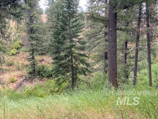 Council, ID 83612,tbd Peaceful Pines Rd