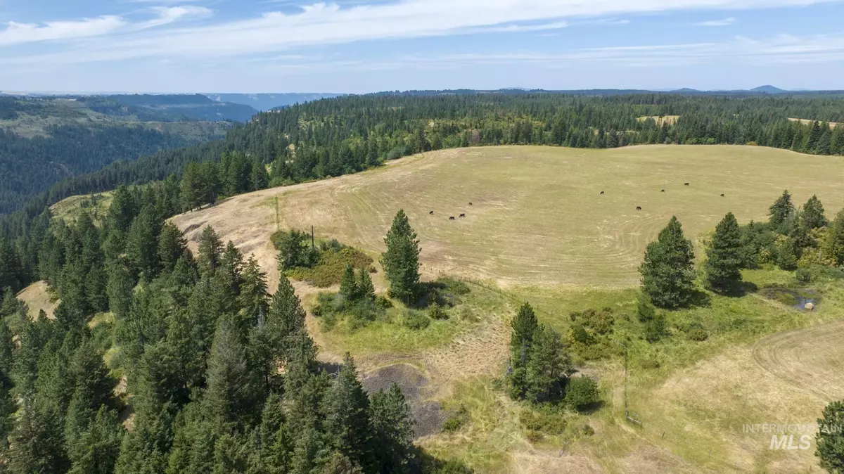 Weippe, ID 83553,1605 Jasmine Ln, Parcel 15