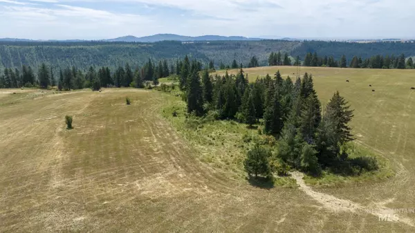 Weippe, ID 83553,1605 Jasmine Ln, Parcel 15