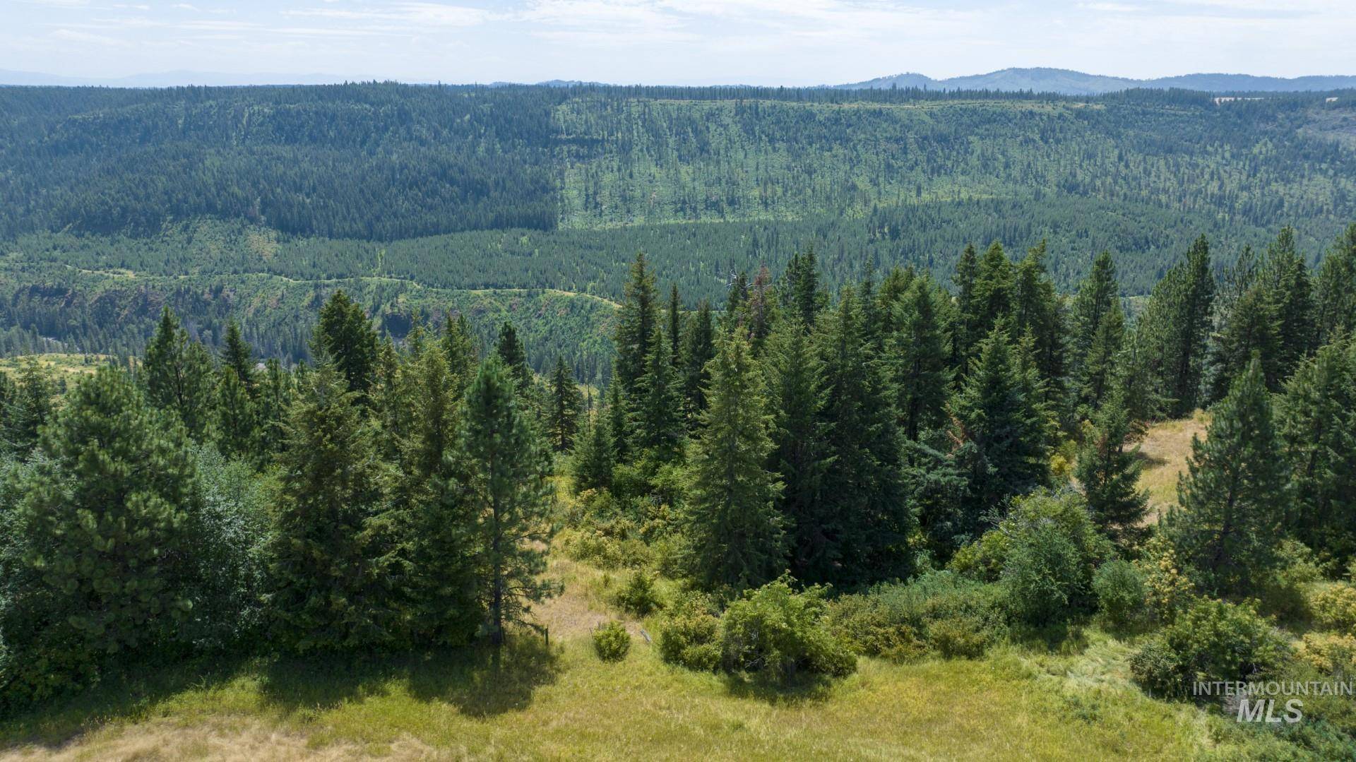 Weippe, ID 83553,1605 Jasmine Ln, Parcel 16