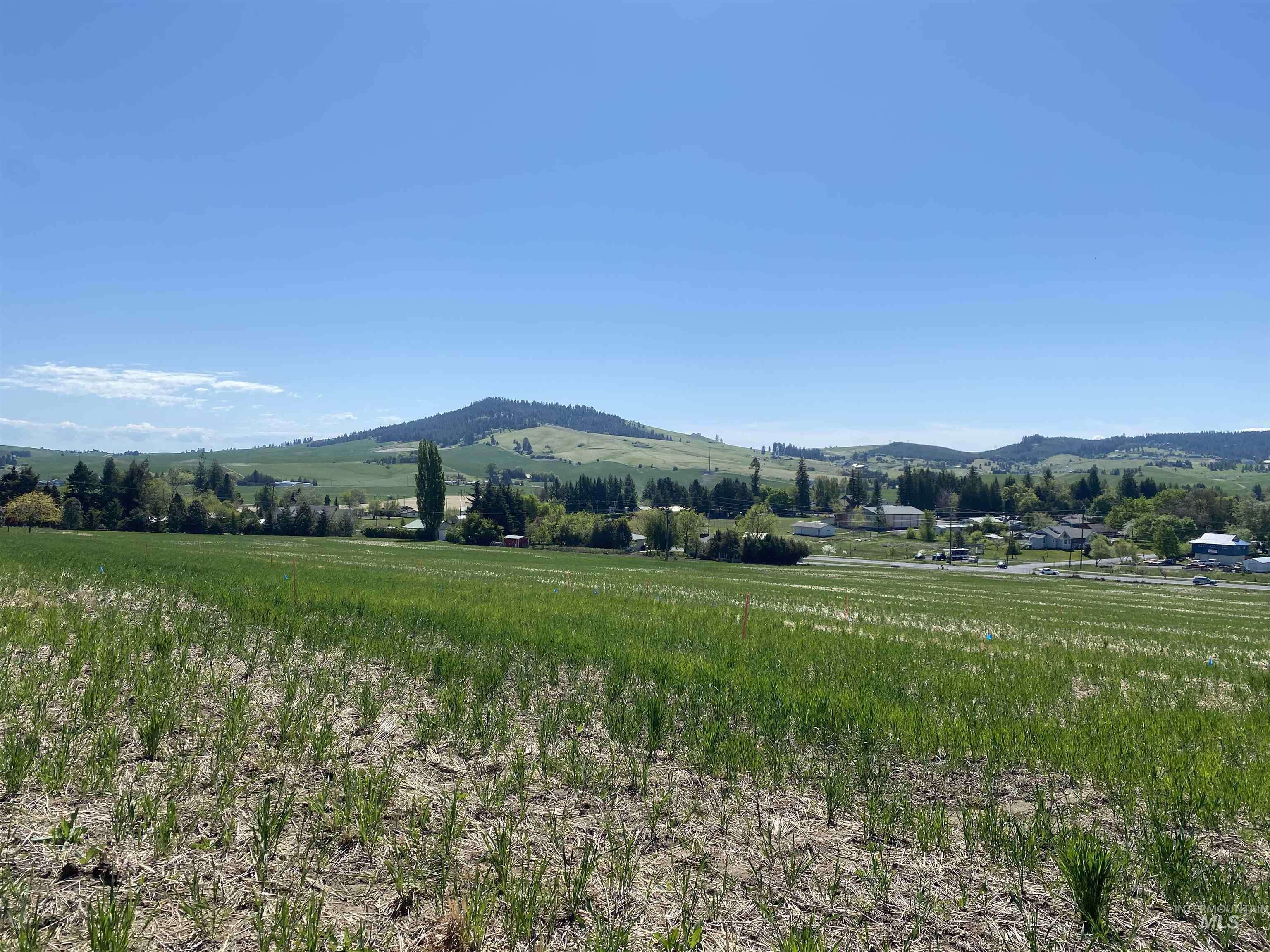 Moscow, ID 83843,2803 Wildrose