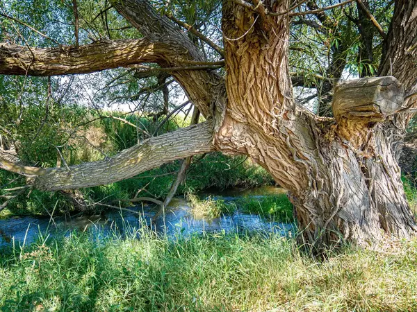 Caldwell, ID 83607,18378 Sand Hollow Rd