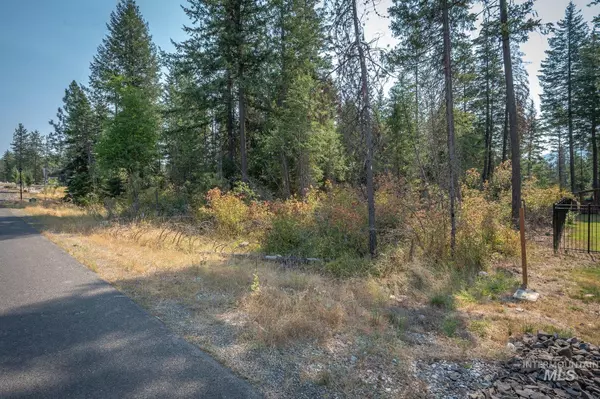 Hayden, ID 83835,NNA E Cattail Ct