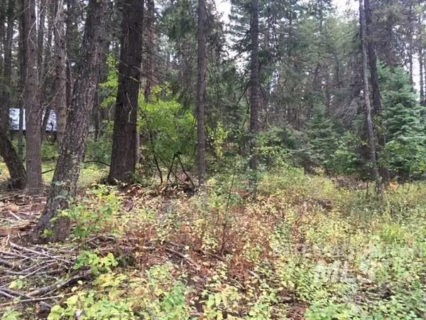 Cascade, ID 83611,TBD Brads Lane