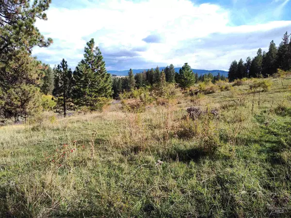 Grangeville, ID 83530,145 - 4 Timber Creek Lane, Parcel 4