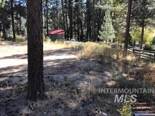 Lowman, ID 83637,TBD - Lot 10 Joe Lewis Subdivision