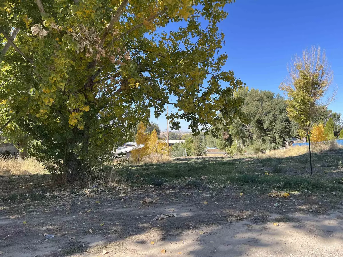 American Falls, ID 83211,TBD Parcel 3 Arthur