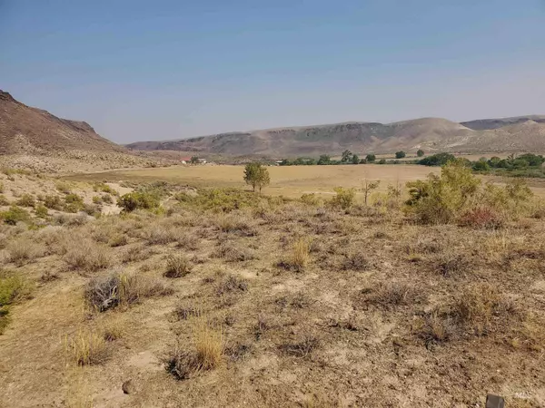 Oreana, ID 83650,28361 Spivey Road