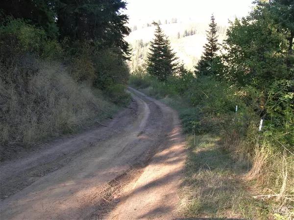 Stites, ID 83552,560 Lightening Creek Road