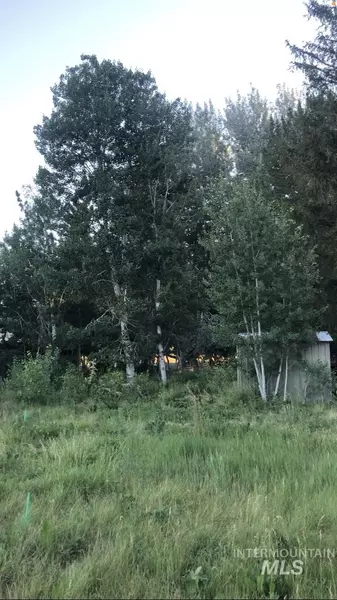 325 Whitman St, Albion, ID 83311