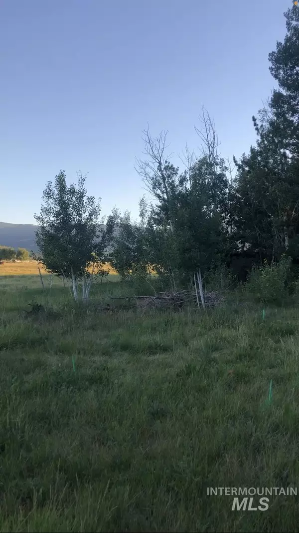 Albion, ID 83311,325 Whitman St