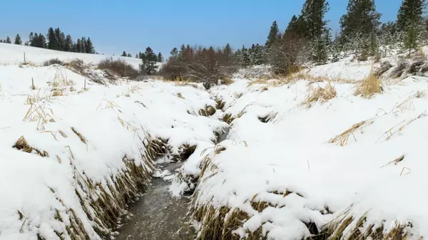 Cavendish, ID 83541,NKA 5.05ac Teacup Lane