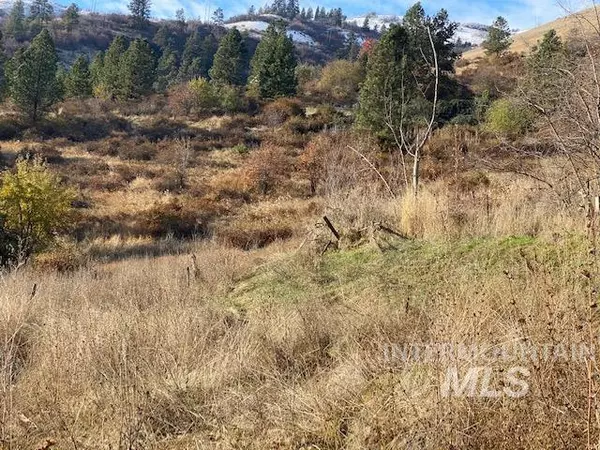 Juliaetta, ID 83535,TBD Lynn Ave