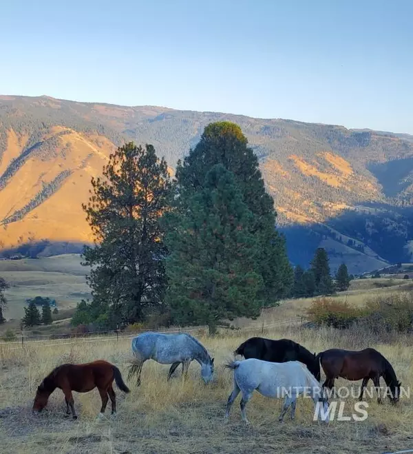 Pollock, ID 83547,263 Cougar Ct