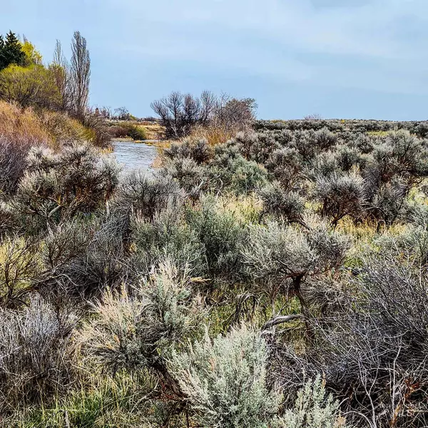 TBD Off Hwy 93, Richfield, ID 83349