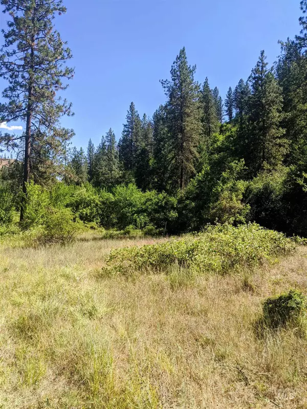 Kooskia, ID 83539,230 Red Bird Dr. (Lot 9)