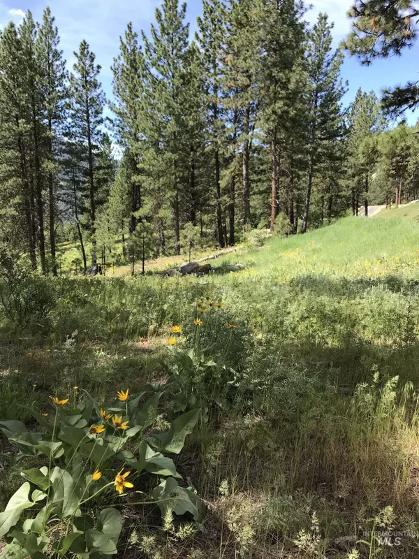 Garden Valley, ID 83622,Lot 83 White Pine Dr