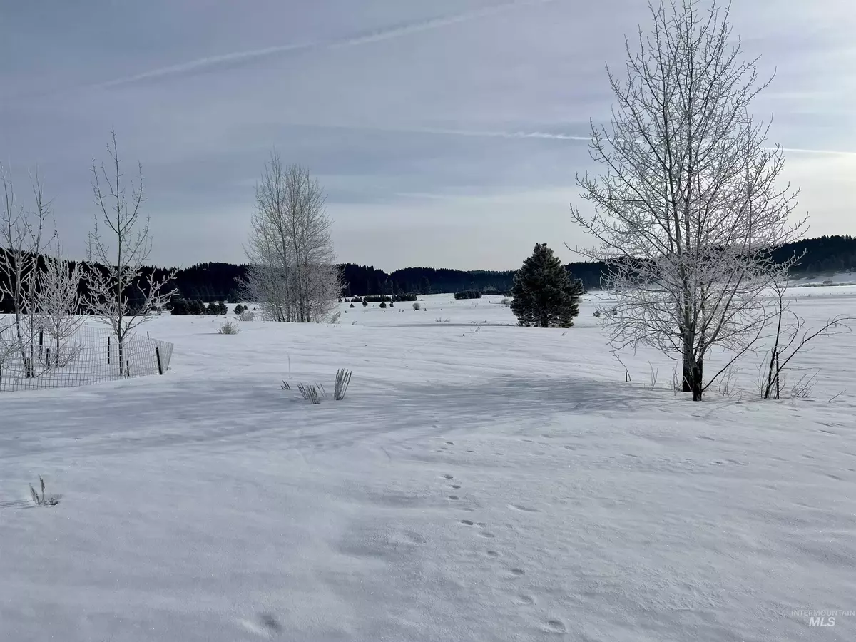 Cascade, ID 83611-9999,L19 Wilderness Lake Rd