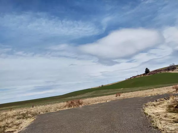 Grangeville, ID 83539,Lot 1 Prairie View Road