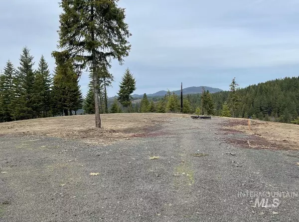 Kamiah, ID 83536,153 Yakus Creek Drive