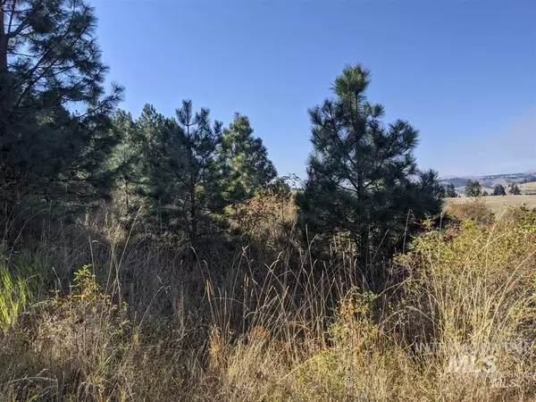 Clearwater, ID 83552,111 Quail Run