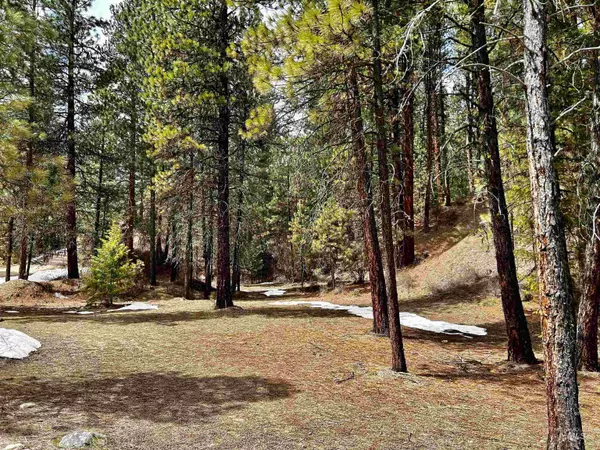 Idaho City, ID 83631,Lot 14 Lodgepole Lane - Idaho City