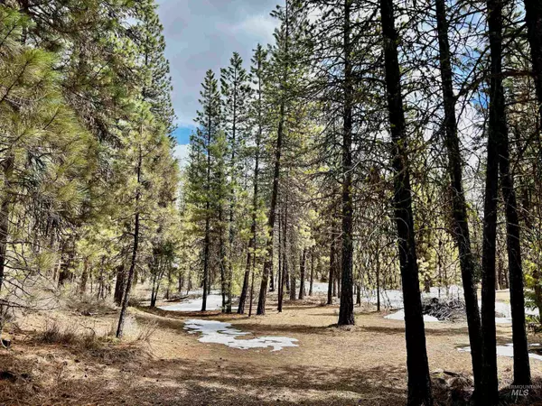 Idaho City, ID 83631,Lot 14 Lodgepole Lane - Idaho City