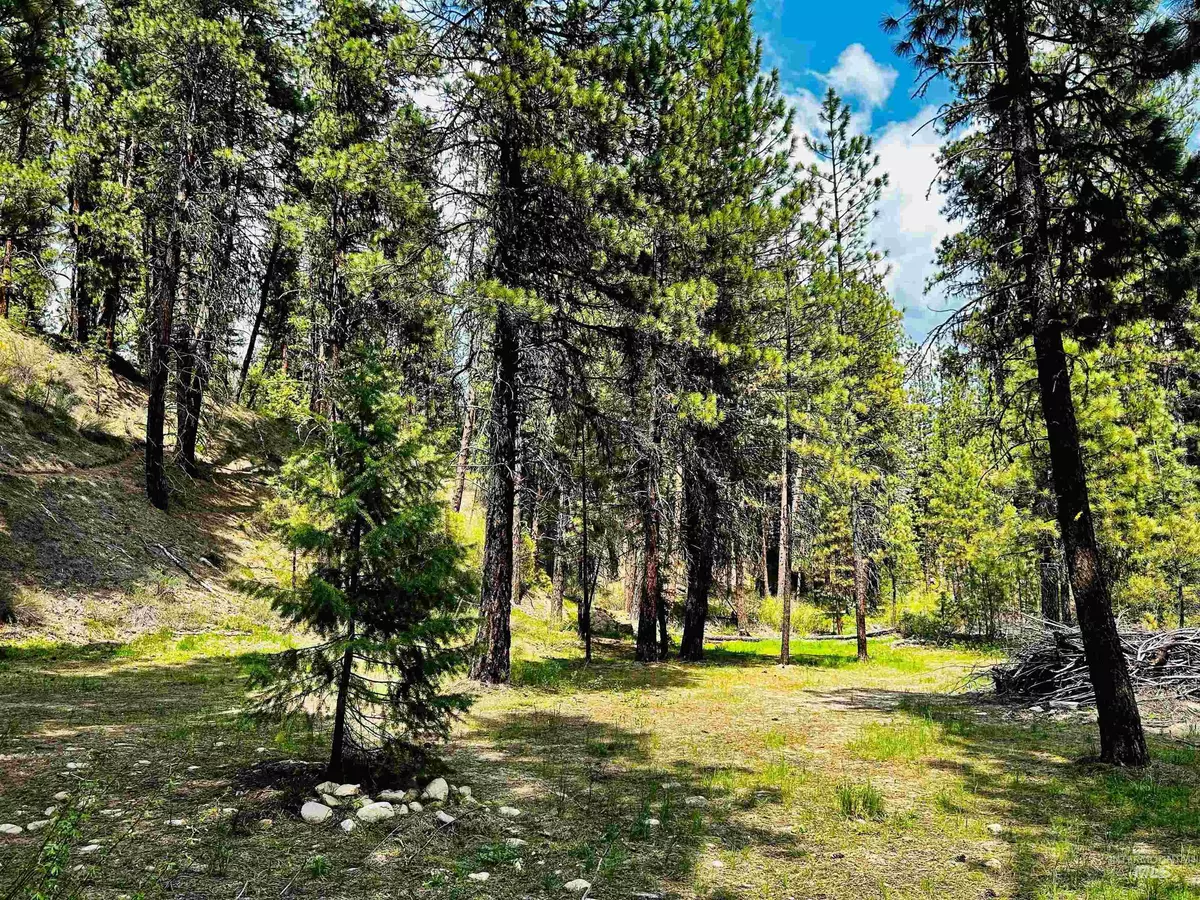 Idaho City, ID 83631,Lot 14 Lodgepole Lane - Idaho City