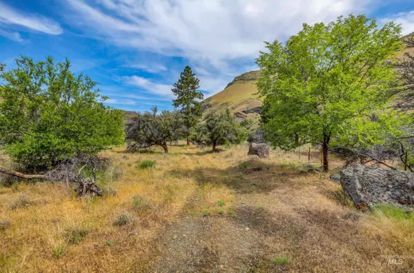 Pollock, ID 83547,116 Abby Lane