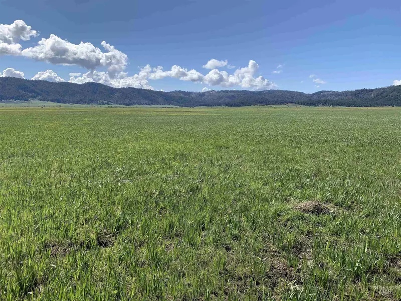 14 Gray Ln, Cascade, ID 83611