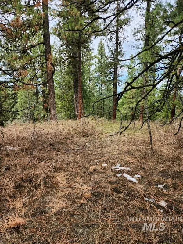 Banks, ID 83602,Blk 1 Lot 39 Payette River Ranchettes 2