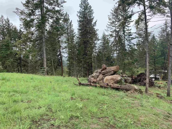 Stites, ID 83552,180 Harpster Drive