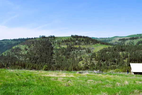 Harpster, ID 83552,lot 9 Wagon Wheel Road