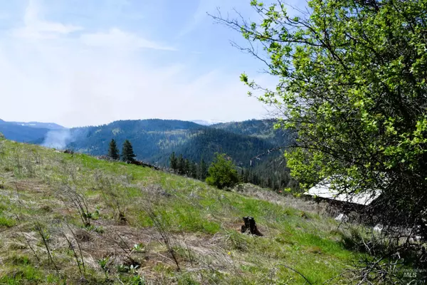 Harpster, ID 83552,lot 9 Wagon Wheel Road
