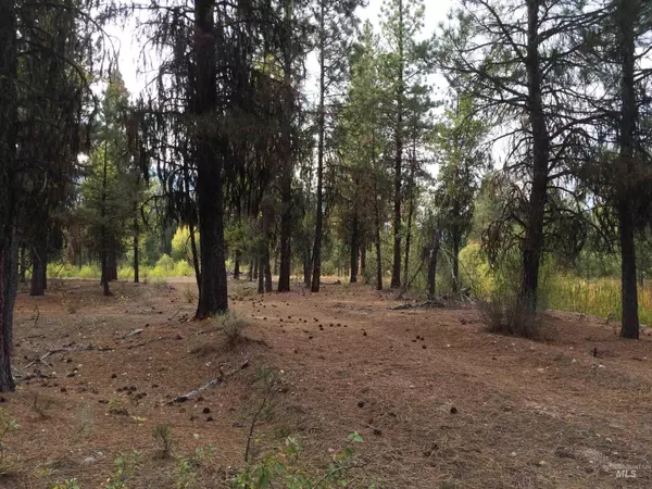 Lot 1 Lane C, Garden Valley, ID 83622