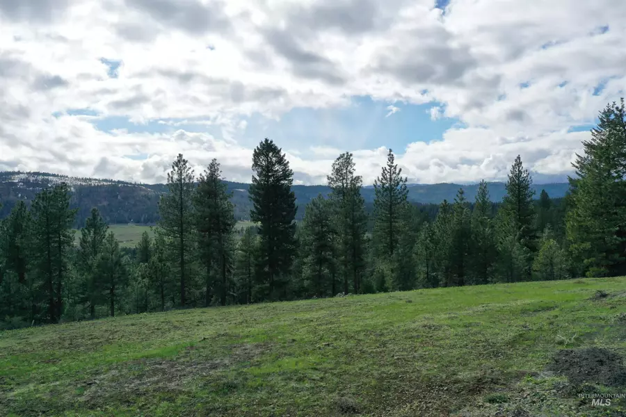 Lot 12 Tamarack View Dr., New Meadows, ID 83654