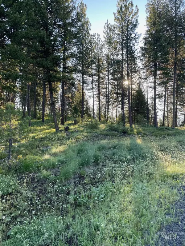 New Meadows, ID 83654,Lot 45 Pine West Drive