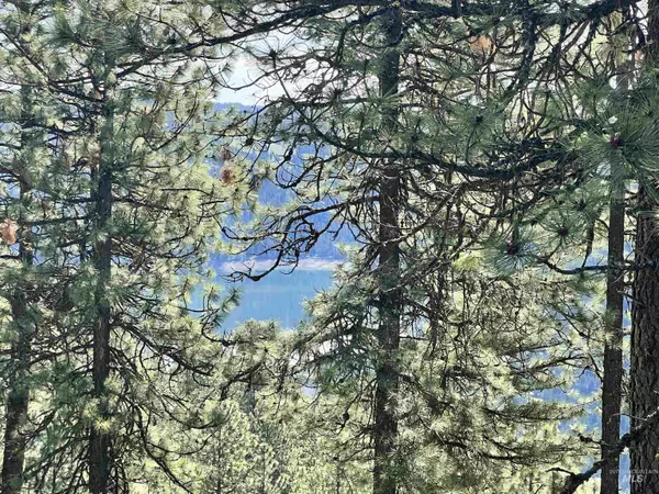 Ahsahka, ID 83520,TBD Summit View Drive