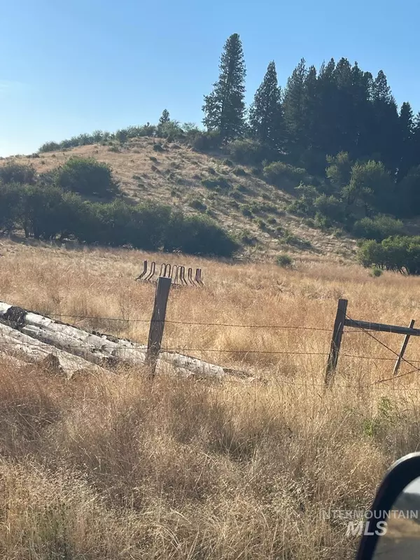 Clearwater, ID 83552,TBD Elk City Wagon Road 151 Ac