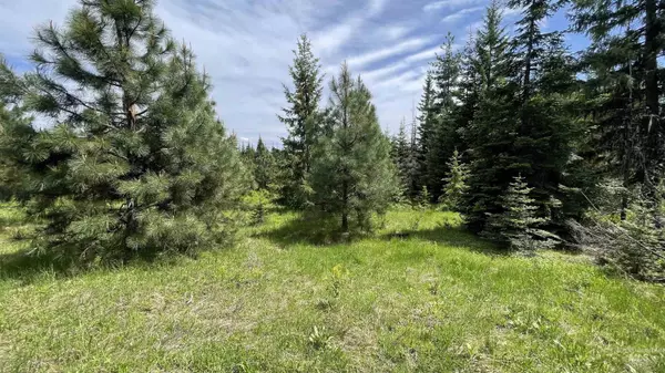 Orofino, ID 83544,TBD Elderberry Dr Parcel 10