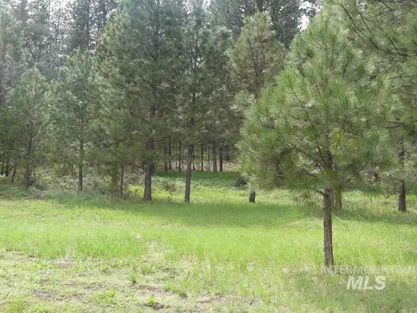 Lot 1 Valley View Drive, New Meadows, ID 83654