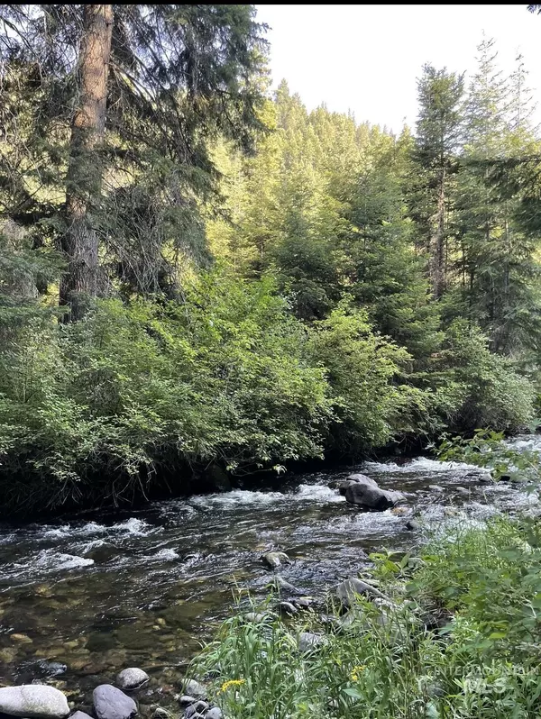 New Meadows, ID 83654,Tbd Hillman Basin Rd